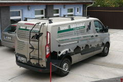 Alarm Elektronika autódekor matrica