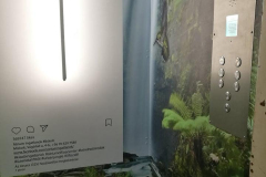Atrium Ingatlan lift dekoráció